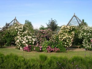 The Jardins de Roquelin