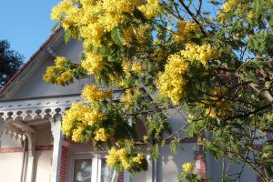 SAINT-BREVIN-LES-PINS