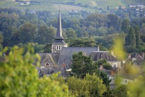 CHÂTEAU DES VAULTS DOMAINE DU CLOSEL